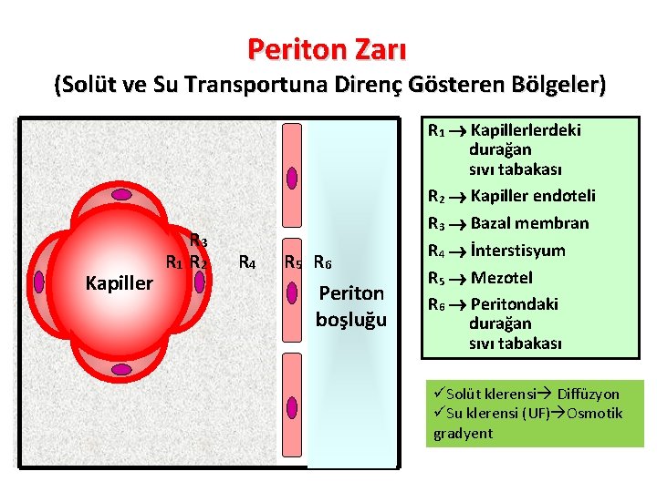 Periton Zarı (Solüt ve Su Transportuna Direnç Gösteren Bölgeler) Kapiller R 3 R 1