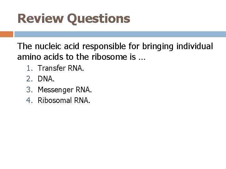 Review Questions The nucleic acid responsible for bringing individual amino acids to the ribosome