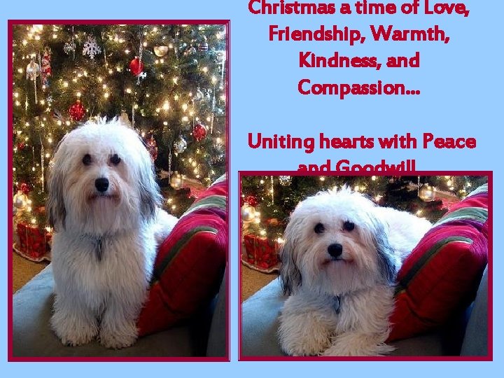 Christmas a time of Love, Friendship, Warmth, Kindness, and Compassion… Uniting hearts with Peace
