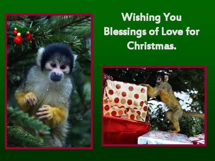 Wishing You Blessings of Love for Christmas. 