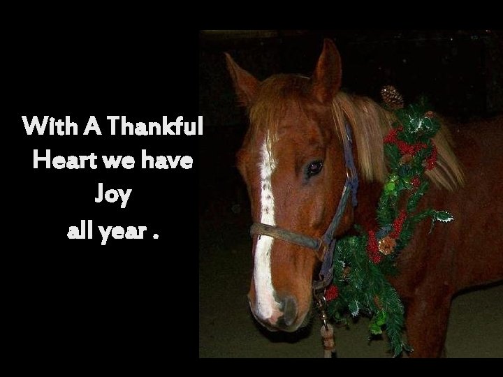 With A Thankful Heart we have Joy all year. 