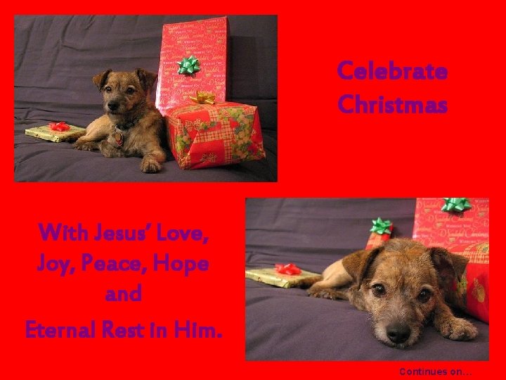 Celebrate Christmas With Jesus’ Love, Joy, Peace, Hope and Eternal Rest in Him. Continues