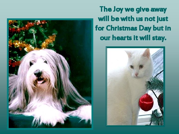 The Joy we give away will be with us not just for Christmas Day