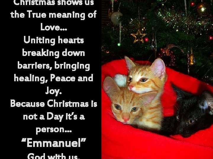 Christmas shows us the True meaning of Love… Uniting hearts breaking down barriers, bringing