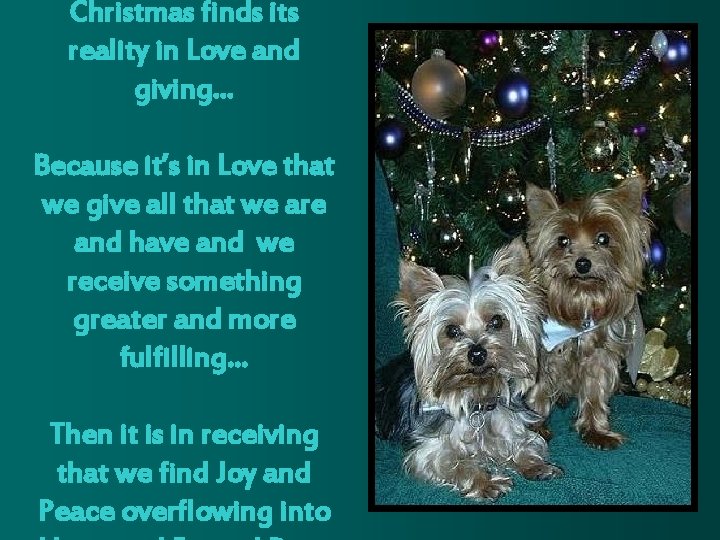 Christmas finds its reality in Love and giving… Because it’s in Love that we