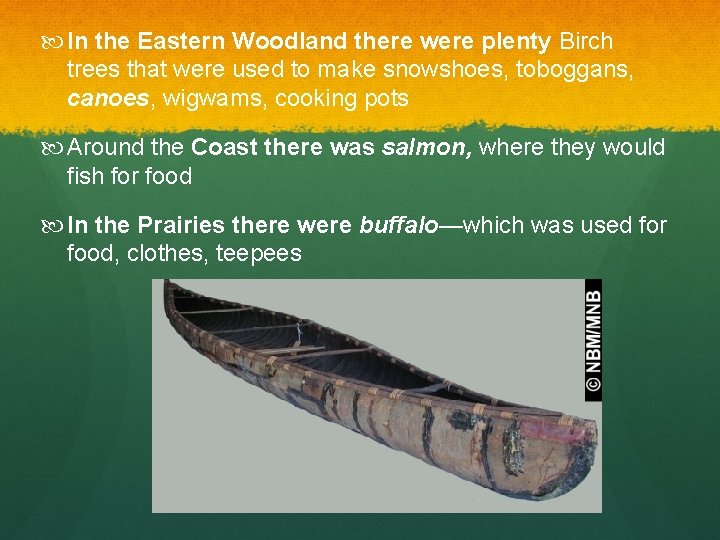 In the Eastern Woodland there were plenty Birch trees that were used to In the Eastern Woodland there were plenty Birch trees that were used to