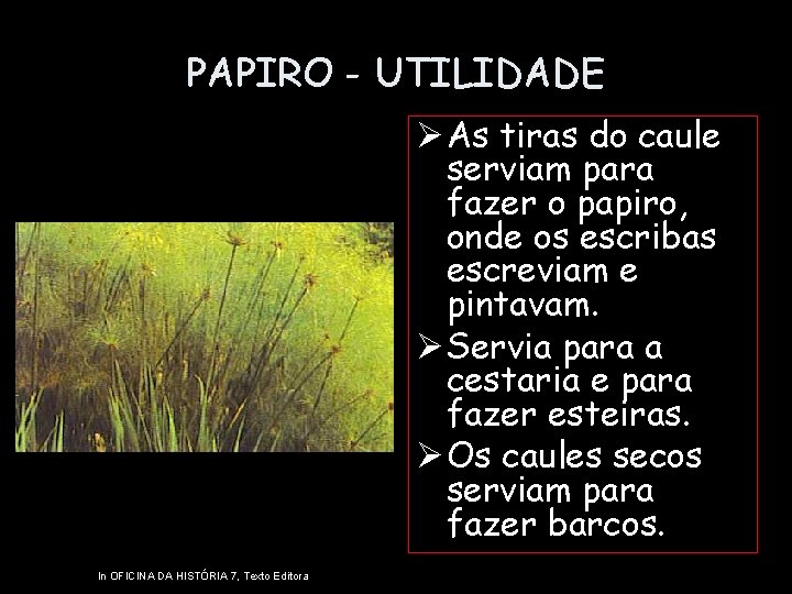 PAPIRO - UTILIDADE Ø As tiras do caule serviam para fazer o papiro, onde