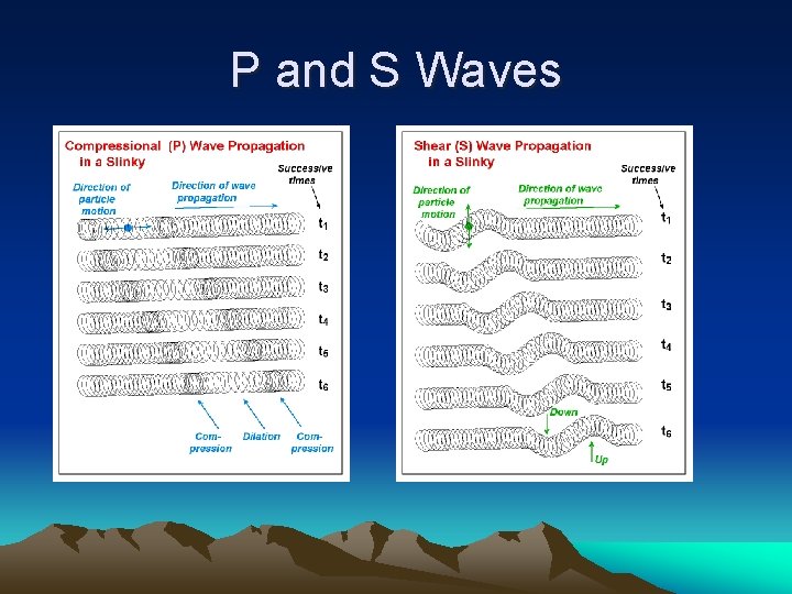 P and S Waves 