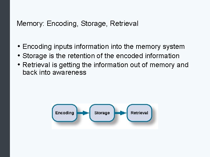 Memory: Encoding, Storage, Retrieval • Encoding inputs information into the memory system • Storage