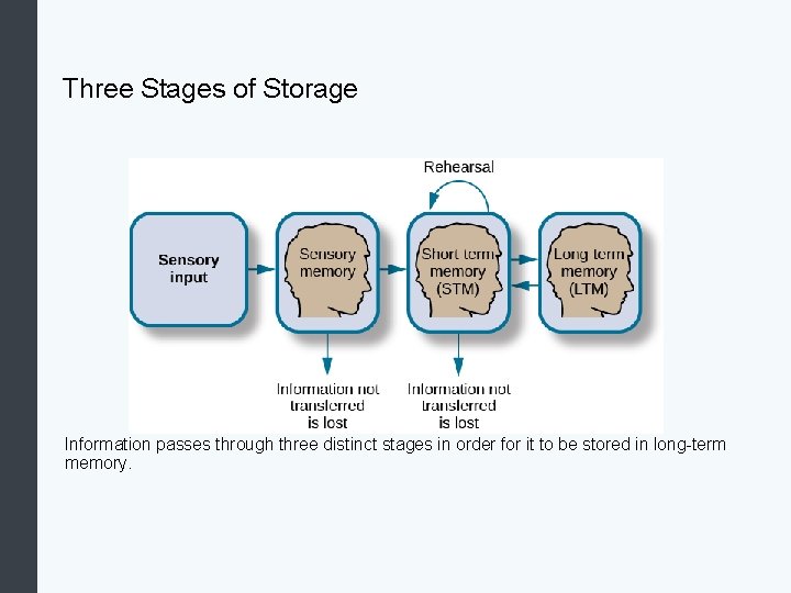 Three Stages of Storage Information passes through three distinct stages in order for it
