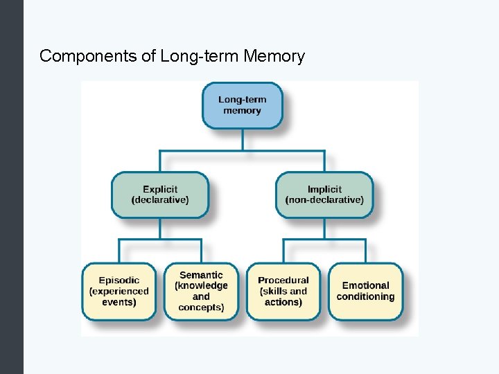 Components of Long-term Memory 