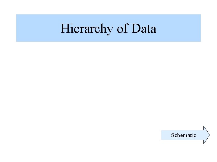Hierarchy of Data Schematic Hierarchy of Data Schematic