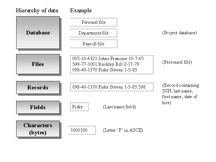 Hierarchy of data Example Personel file Database Department file (Project database) Payroll file Files Hierarchy of data Example Personel file Database Department file (Project database) Payroll file Files