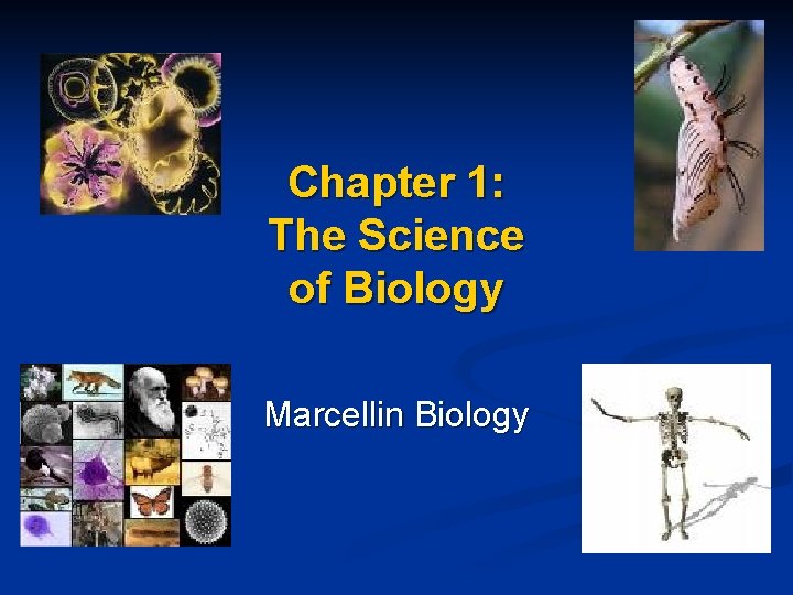 Chapter 1: The Science of Biology Marcellin Biology 