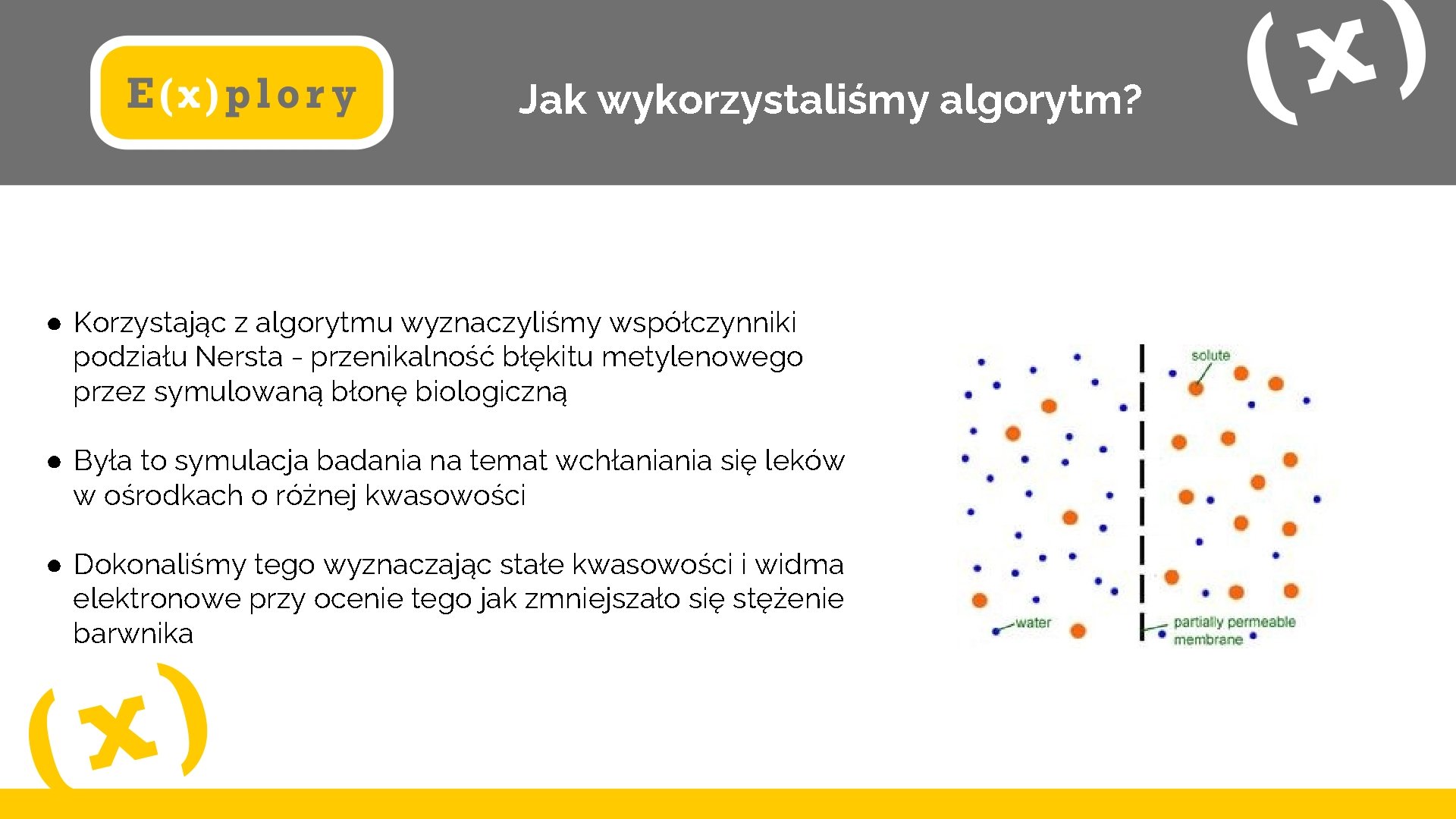 Jak wykorzystaliśmy algorytm? ● Korzystając z algorytmu wyznaczyliśmy współczynniki podziału Nersta - przenikalność błękitu