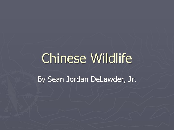 Chinese Wildlife By Sean Jordan De. Lawder, Jr. 
