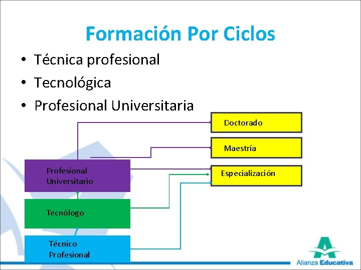 Formación Por Ciclos • Técnica profesional • Tecnológica • Profesional Universitaria Doctorado Maestría Profesional