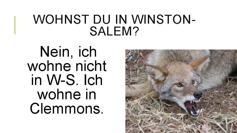 WOHNST DU IN WINSTONSALEM? Nein, ich wohne nicht in W-S. Ich wohne in Clemmons.