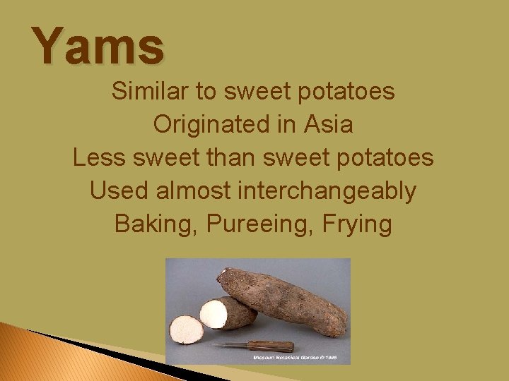 Yams Similar to sweet potatoes Originated in Asia Less sweet than sweet potatoes Used