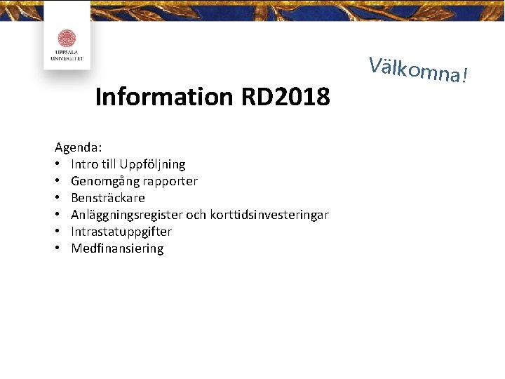 Information RD 2018 Agenda: • Intro till Uppföljning • Genomgång rapporter • Bensträckare •