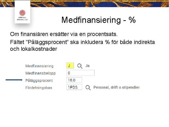 Medfinansiering - % Om finansiären ersätter via en procentsats. Fältet ”Påläggsprocent” ska inkludera %