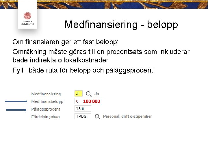 Medfinansiering - belopp Om finansiären ger ett fast belopp: Omräkning måste göras till en