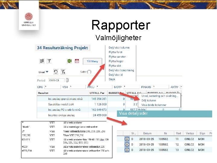 Rapporter Valmöjligheter 