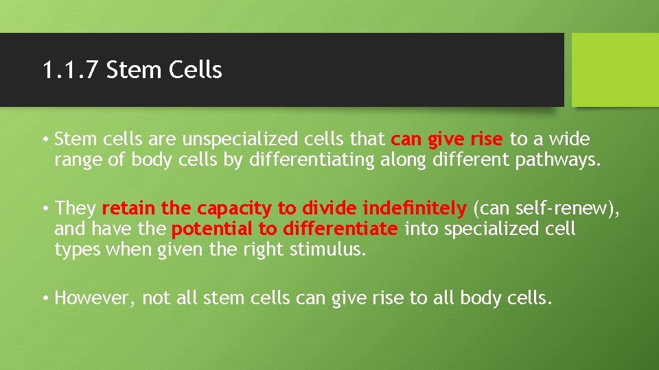 1. 1. 7 Stem Cells • Stem cells are unspecialized cells that can give