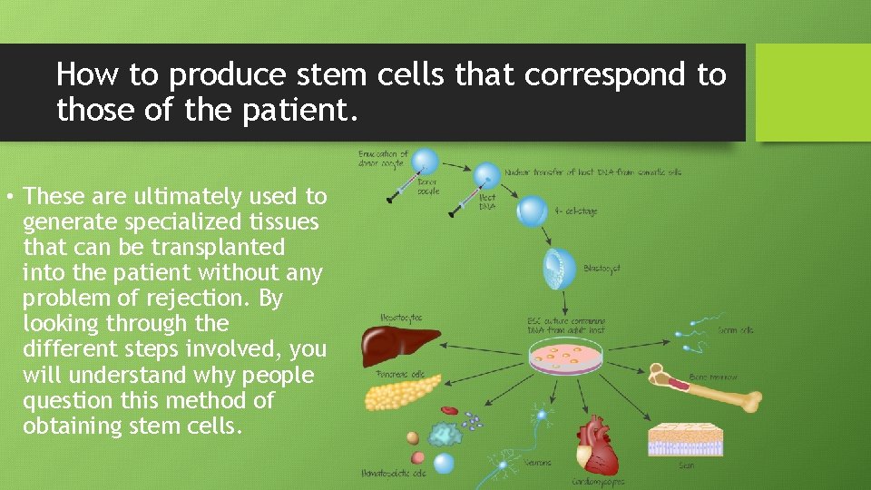 How to produce stem cells that correspond to those of the patient. • These
