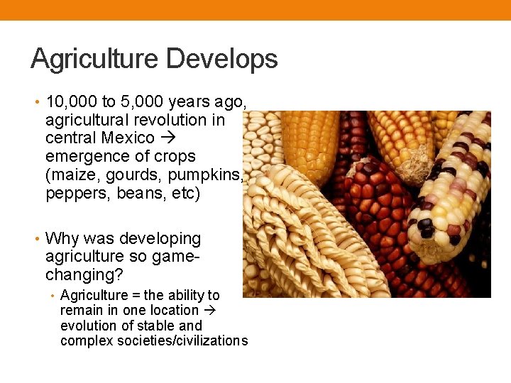 Agriculture Develops • 10, 000 to 5, 000 years ago, agricultural revolution in central