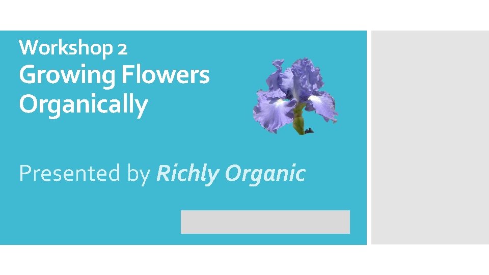 Workshop 2 Growing Flowers Organically Presented by Richly Organic 