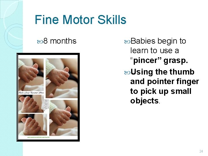 Fine Motor Skills 8 months Babies begin to learn to use a “pincer” grasp.
