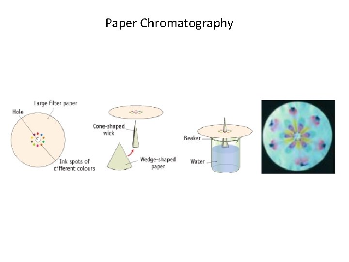 Paper Chromatography 