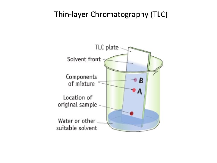 Thin-layer Chromatography (TLC) 