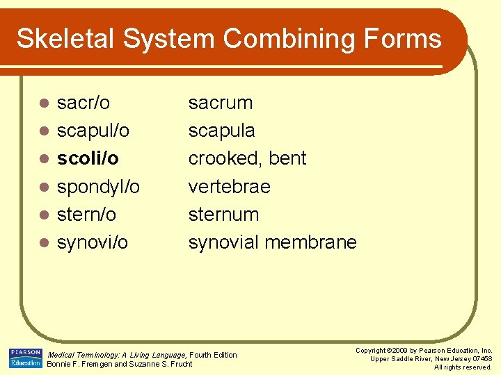Skeletal System Combining Forms l l l sacr/o scapul/o scoli/o spondyl/o stern/o synovi/o sacrum