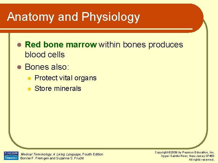 Anatomy and Physiology Red bone marrow within bones produces blood cells l Bones also: