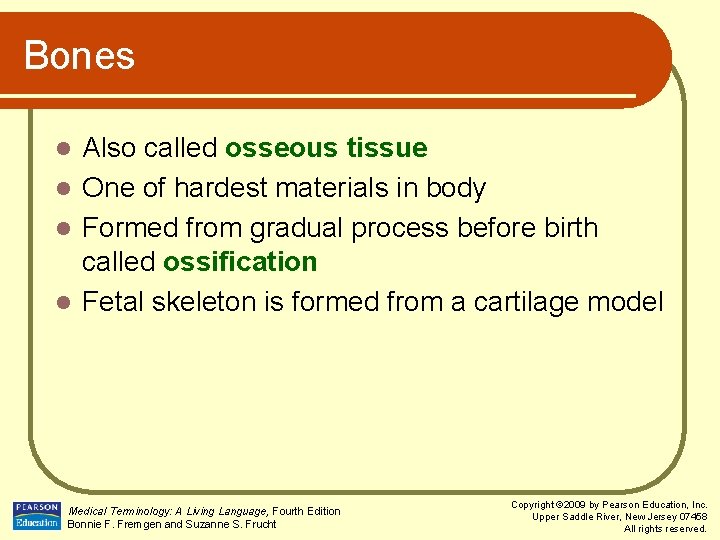 Bones Also called osseous tissue l One of hardest materials in body l Formed