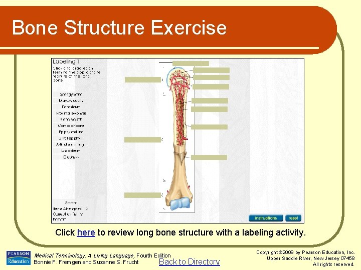 Bone Structure Exercise Click here to review long bone structure with a labeling activity.