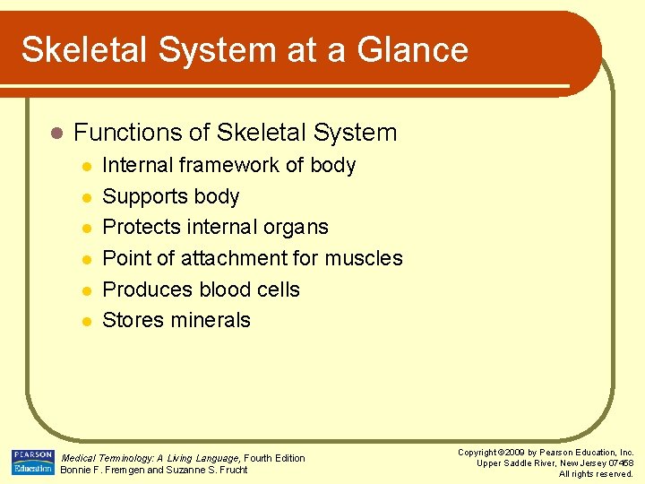 Skeletal System at a Glance l Functions of Skeletal System l l l Internal