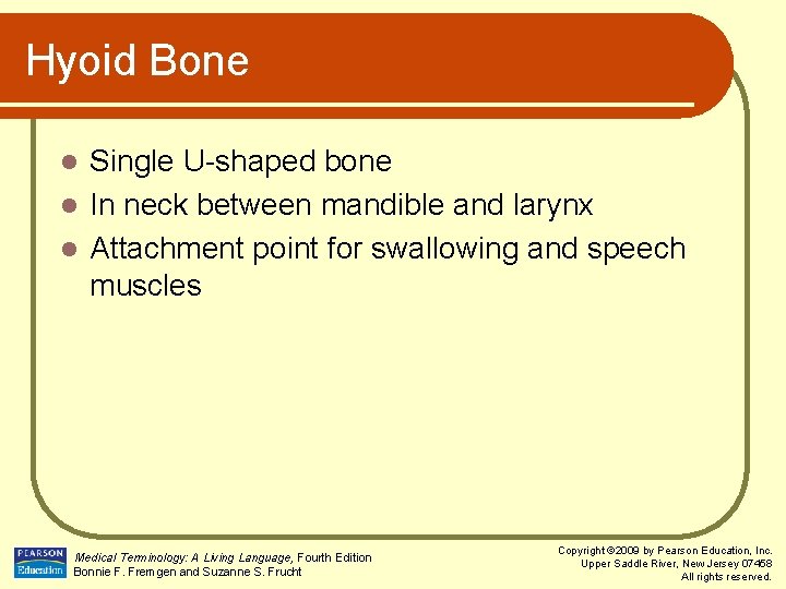 Hyoid Bone Single U-shaped bone l In neck between mandible and larynx l Attachment