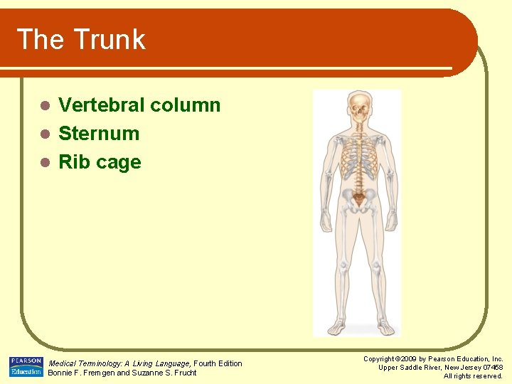 The Trunk Vertebral column l Sternum l Rib cage l Medical Terminology: A Living
