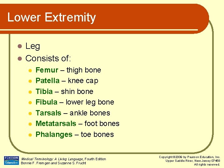 Lower Extremity Leg l Consists of: l l l l Femur – thigh bone