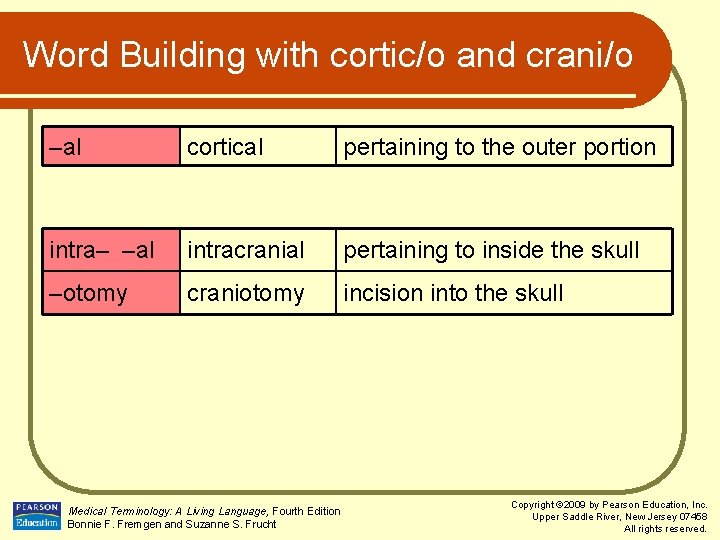 Word Building with cortic/o and crani/o –al cortical pertaining to the outer portion intra–