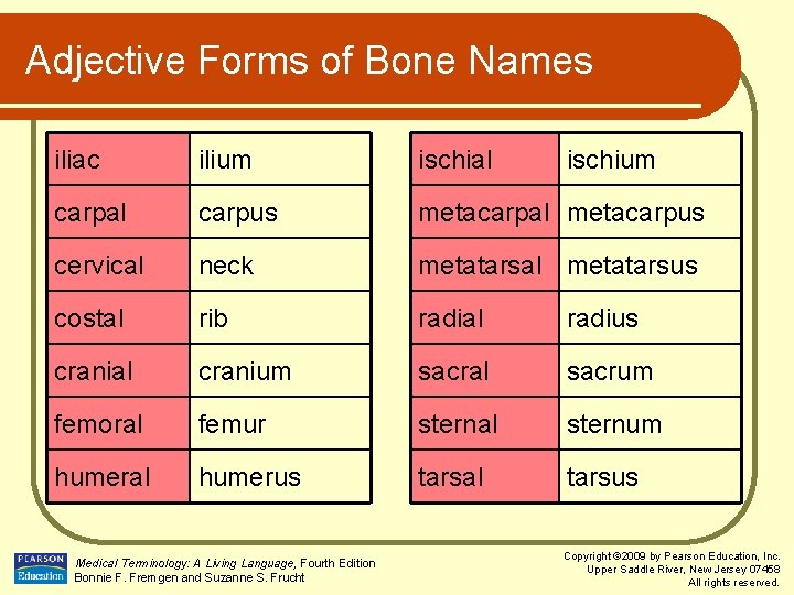 Adjective Forms of Bone Names iliac ilium ischial carpus metacarpal metacarpus cervical neck metatarsal