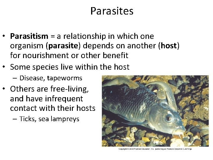 Parasites • Parasitism = a relationship in which one organism (parasite) depends on another Parasites • Parasitism = a relationship in which one organism (parasite) depends on another