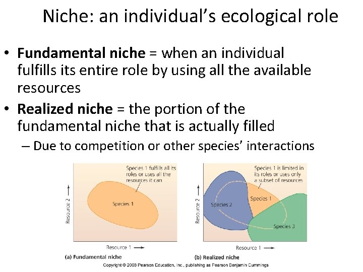 Niche: an individual’s ecological role • Fundamental niche = when an individual fulfills its Niche: an individual’s ecological role • Fundamental niche = when an individual fulfills its