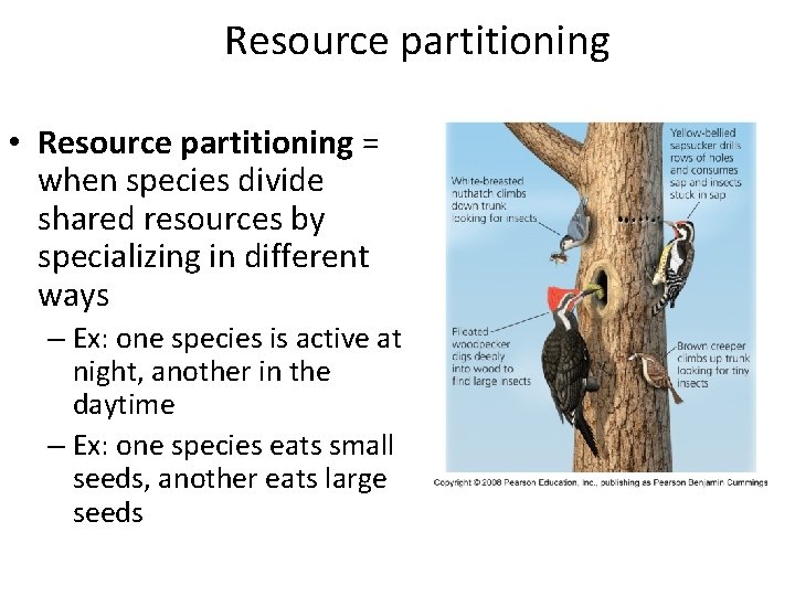 Resource partitioning • Resource partitioning = when species divide shared resources by specializing in Resource partitioning • Resource partitioning = when species divide shared resources by specializing in