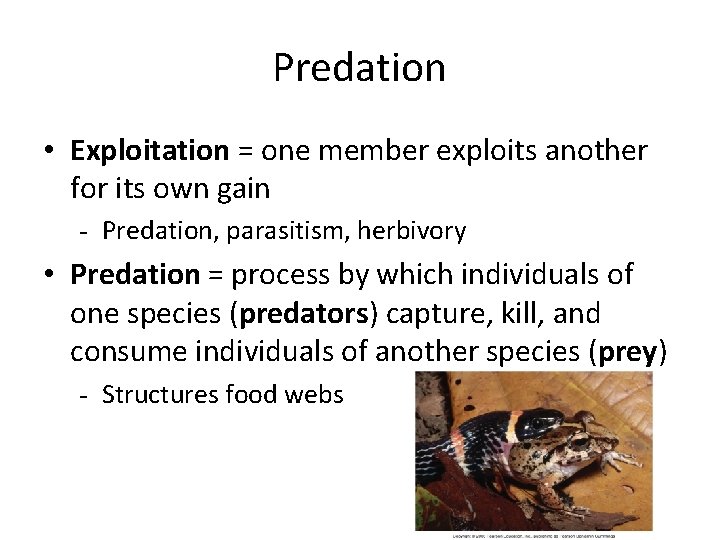 Predation • Exploitation = one member exploits another for its own gain - Predation, Predation • Exploitation = one member exploits another for its own gain - Predation,
