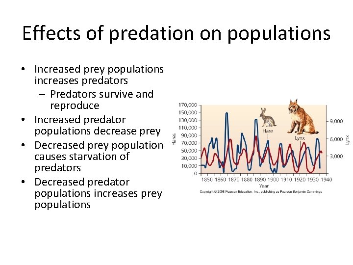 Effects of predation on populations • Increased prey populations increases predators – Predators survive Effects of predation on populations • Increased prey populations increases predators – Predators survive