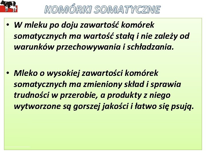 KOMÓRKI SOMATYCZNE • W mleku po doju zawartość komórek somatycznych ma wartość stałą i